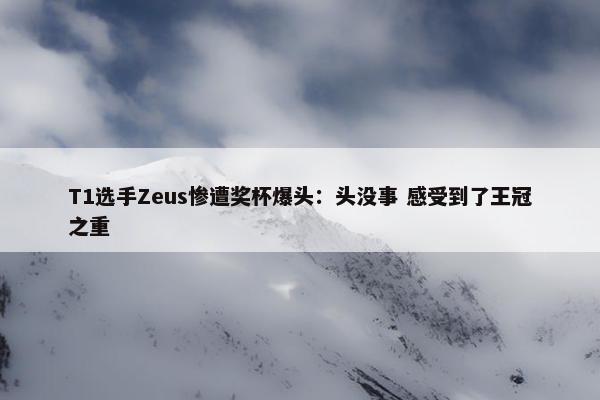 T1选手Zeus惨遭奖杯爆头：头没事 感受到了王冠之重