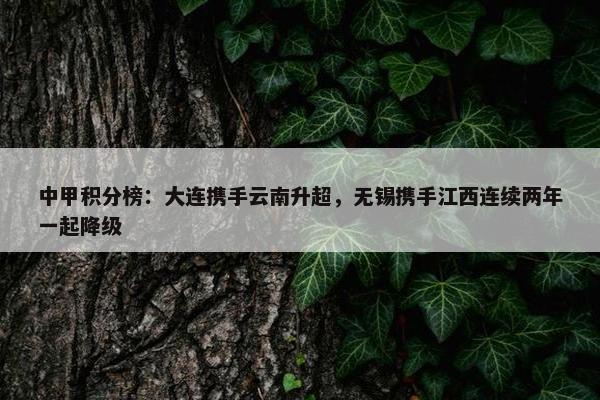 中甲积分榜：大连携手云南升超，无锡携手江西连续两年一起降级