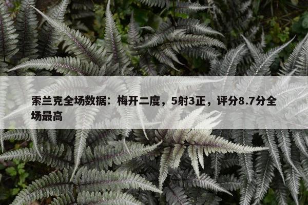 索兰克全场数据：梅开二度，5射3正，评分8.7分全场最高