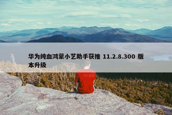 华为纯血鸿蒙小艺助手获推 11.2.8.300 版本升级