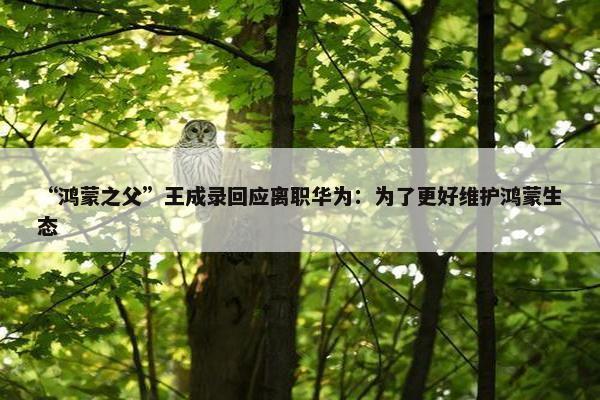 “鸿蒙之父”王成录回应离职华为：为了更好维护鸿蒙生态