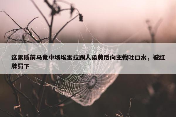 这素质前马竞中场埃雷拉踢人染黄后向主裁吐口水，被红牌罚下