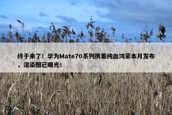 终于来了！华为Mate70系列携着纯血鸿蒙本月发布，渲染图已曝光！