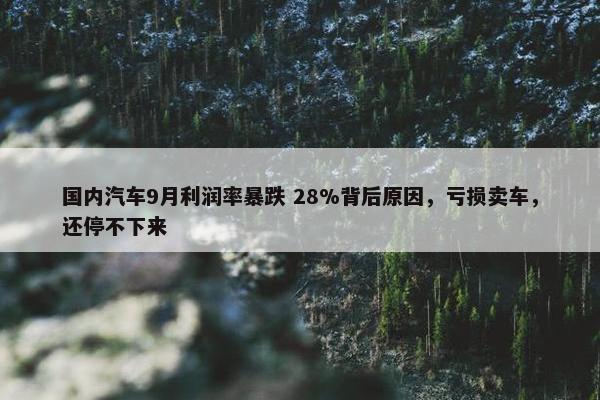 国内汽车9月利润率暴跌 28%背后原因，亏损卖车，还停不下来