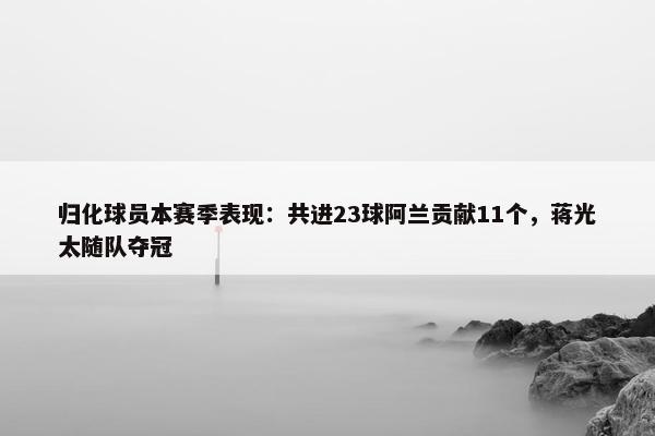 归化球员本赛季表现：共进23球阿兰贡献11个，蒋光太随队夺冠