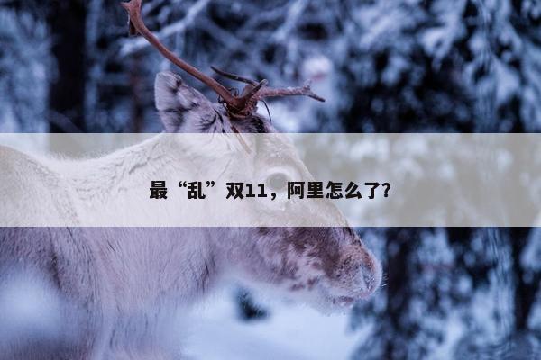 最“乱”双11，阿里怎么了？