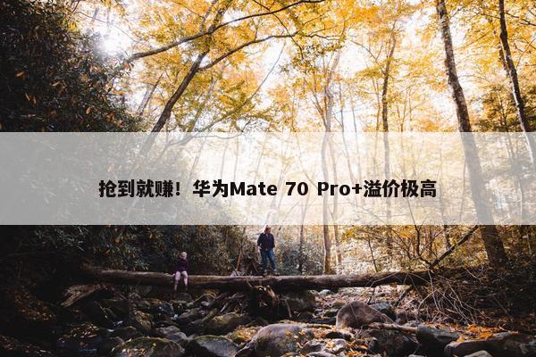 抢到就赚！华为Mate 70 Pro+溢价极高