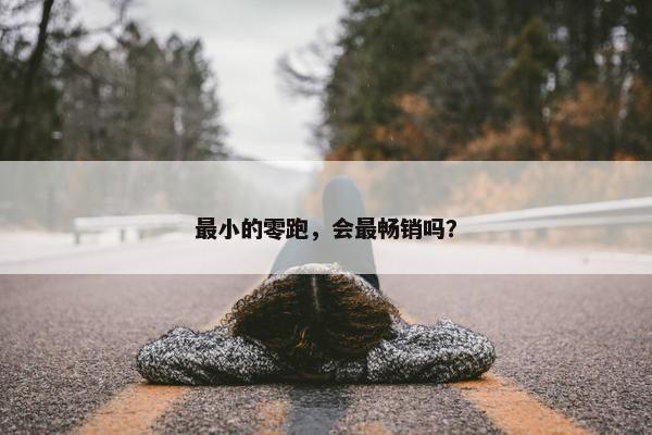 最小的零跑，会最畅销吗？