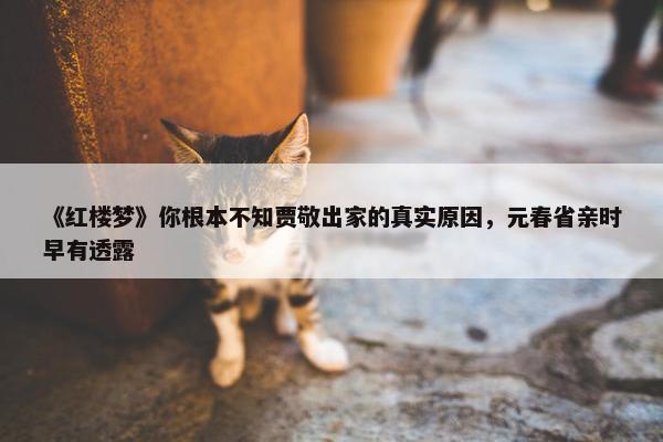 《红楼梦》你根本不知贾敬出家的真实原因，元春省亲时早有透露