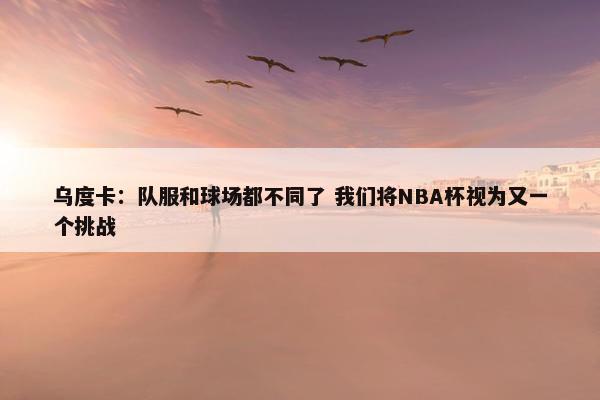 乌度卡：队服和球场都不同了 我们将NBA杯视为又一个挑战