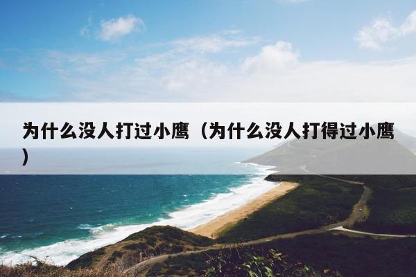 为什么没人打过小鹰（为什么没人打得过小鹰）