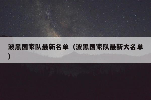 波黑国家队最新名单（波黑国家队最新大名单）