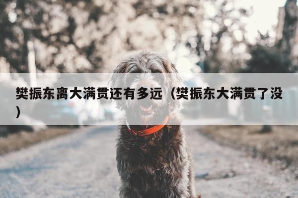 樊振东离大满贯还有多远（樊振东大满贯了没）