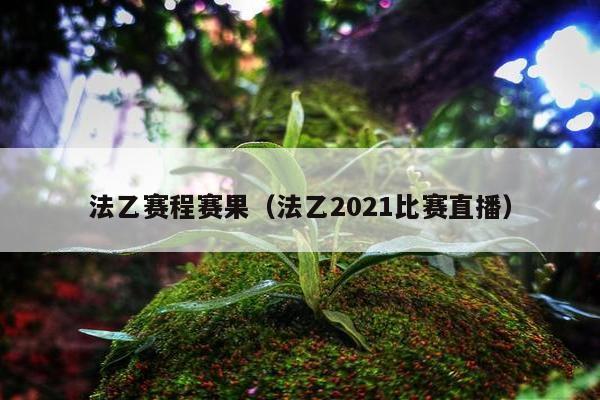 法乙赛程赛果（法乙2021比赛直播）