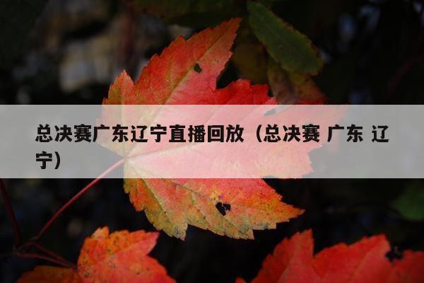 总决赛广东辽宁直播回放（总决赛 广东 辽宁）