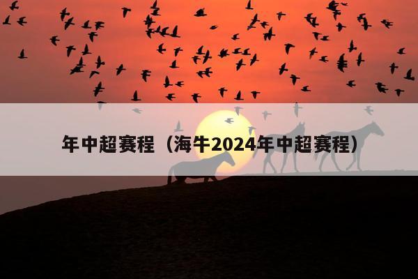 年中超赛程（海牛2024年中超赛程）