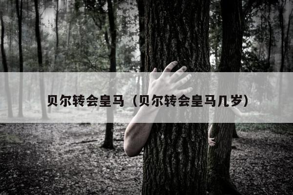 贝尔转会皇马（贝尔转会皇马几岁）