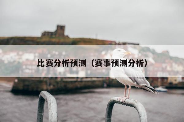 比赛分析预测（赛事预测分析）