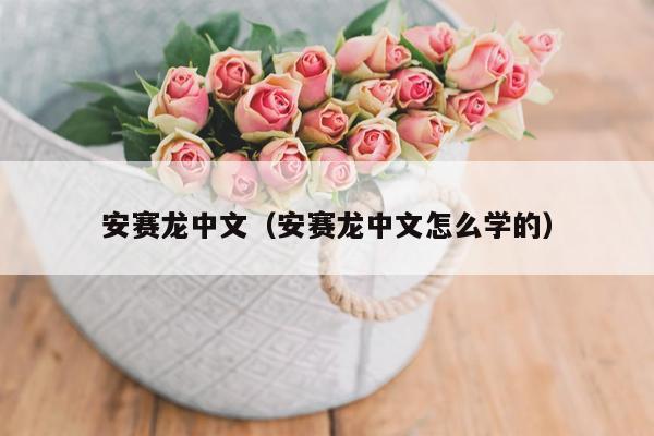 安赛龙中文（安赛龙中文怎么学的）