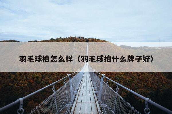 羽毛球拍怎么样（羽毛球拍什么牌子好）