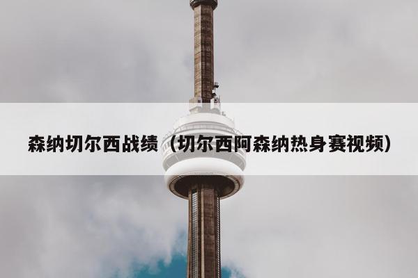 森纳切尔西战绩（切尔西阿森纳热身赛视频）