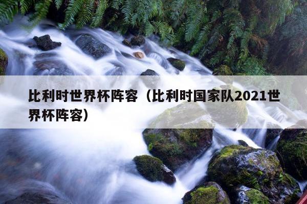 比利时世界杯阵容（比利时国家队2021世界杯阵容）