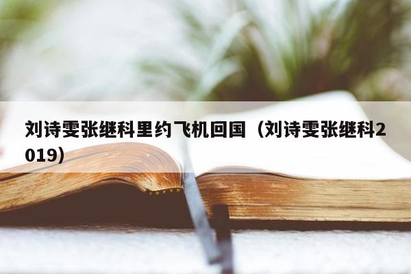 刘诗雯张继科里约飞机回国（刘诗雯张继科2019）