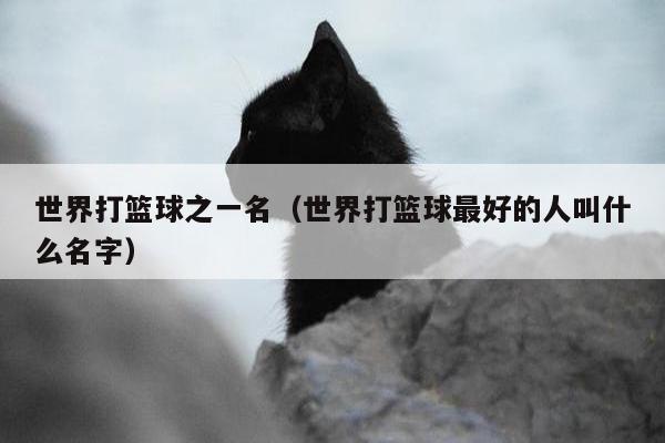 世界打篮球之一名（世界打篮球最好的人叫什么名字）