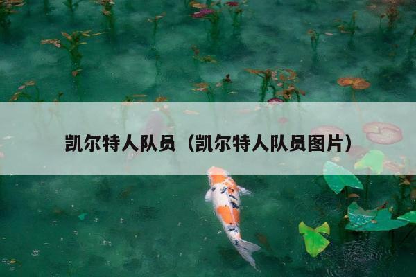 凯尔特人队员（凯尔特人队员图片）