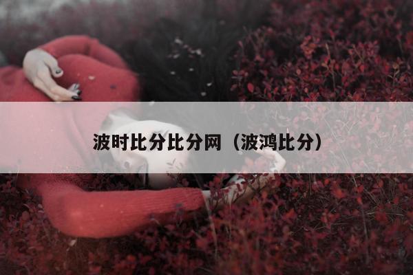 波时比分比分网（波鸿比分）