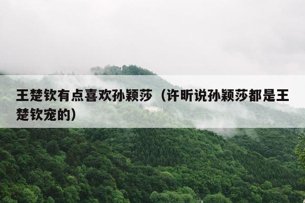 王楚钦有点喜欢孙颖莎（许昕说孙颖莎都是王楚钦宠的）