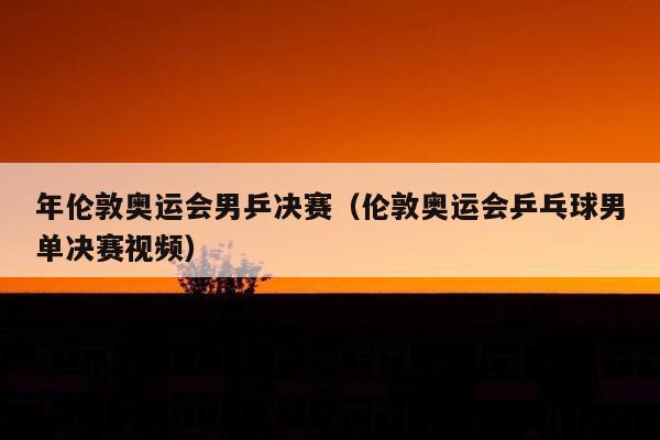 年伦敦奥运会男乒决赛（伦敦奥运会乒乓球男单决赛视频）