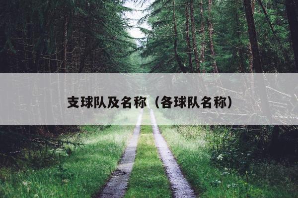 支球队及名称（各球队名称）