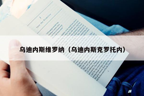 乌迪内斯维罗纳（乌迪内斯克罗托内）