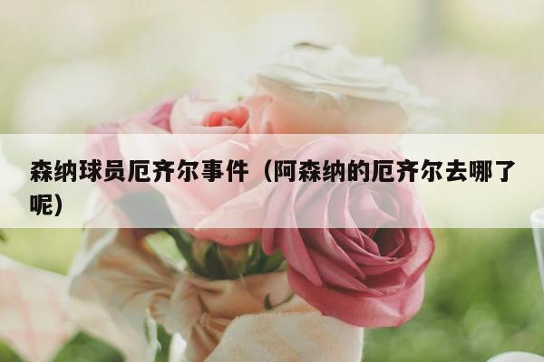 森纳球员厄齐尔事件（阿森纳的厄齐尔去哪了呢）