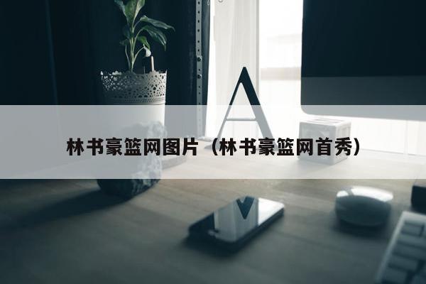 林书豪篮网图片（林书豪篮网首秀）