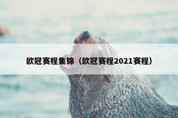 欧冠赛程集锦（欧冠赛程2021赛程）