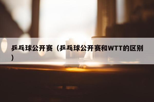 乒乓球公开赛（乒乓球公开赛和WTT的区别）