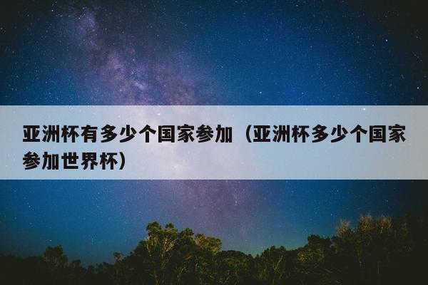 亚洲杯有多少个国家参加（亚洲杯多少个国家参加世界杯）