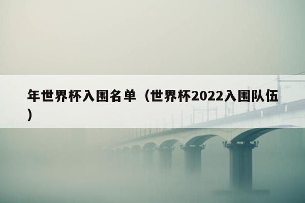 年世界杯入围名单（世界杯2022入围队伍）