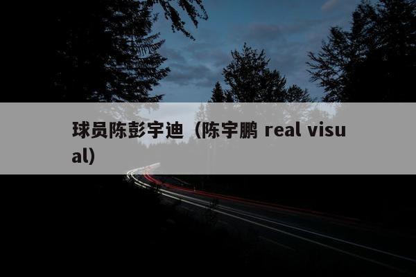 球员陈彭宇迪（陈宇鹏 real visual）