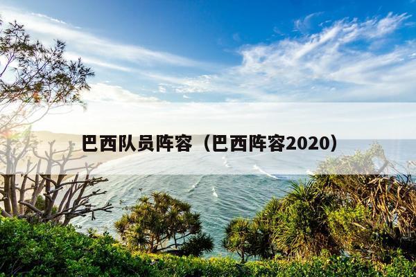 巴西队员阵容（巴西阵容2020）