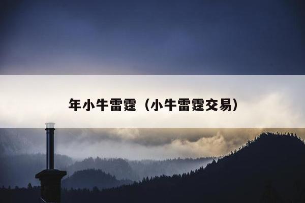 年小牛雷霆（小牛雷霆交易）