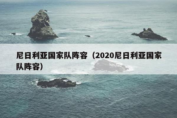 尼日利亚国家队阵容（2020尼日利亚国家队阵容）