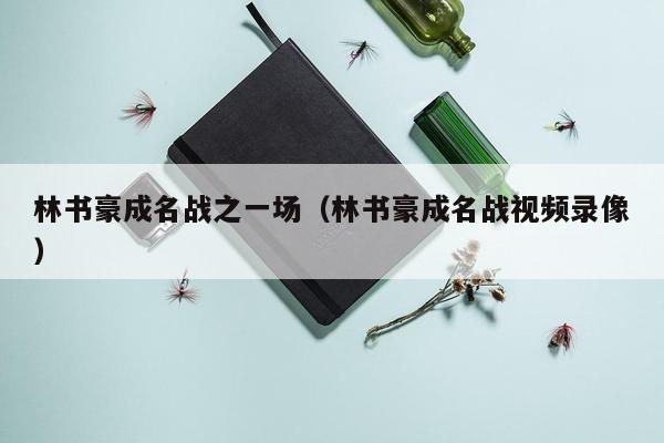 林书豪成名战之一场（林书豪成名战视频录像）