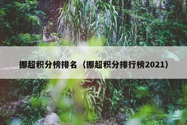 挪超积分榜排名（挪超积分排行榜2021）