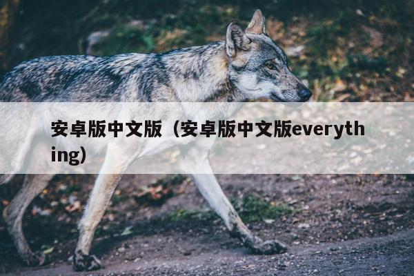 安卓版中文版（安卓版中文版everything）