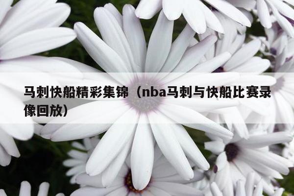 马刺快船精彩集锦（nba马刺与快船比赛录像回放）