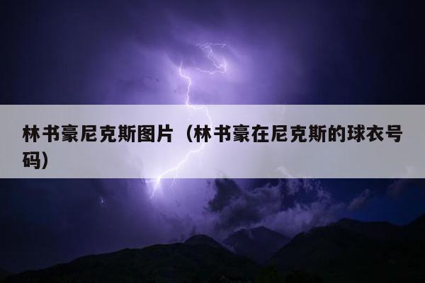 林书豪尼克斯图片（林书豪在尼克斯的球衣号码）