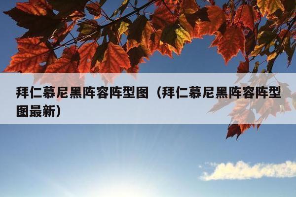 拜仁慕尼黑阵容阵型图（拜仁慕尼黑阵容阵型图最新）